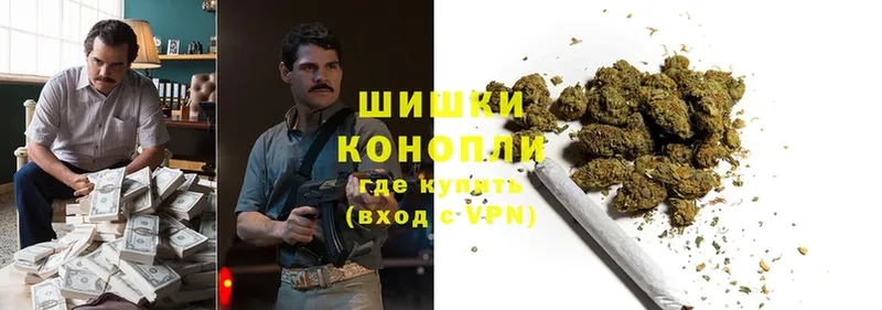 где купить наркоту  мориарти телеграм  Марихуана OG Kush  Белокуриха 